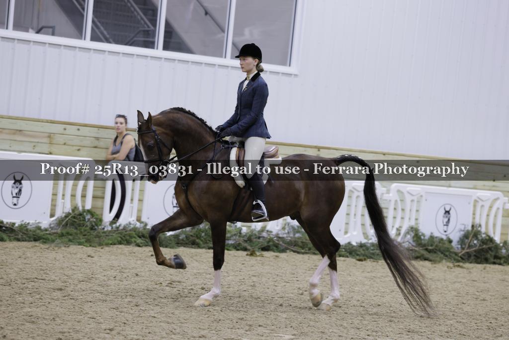 Proof 25R13_03831