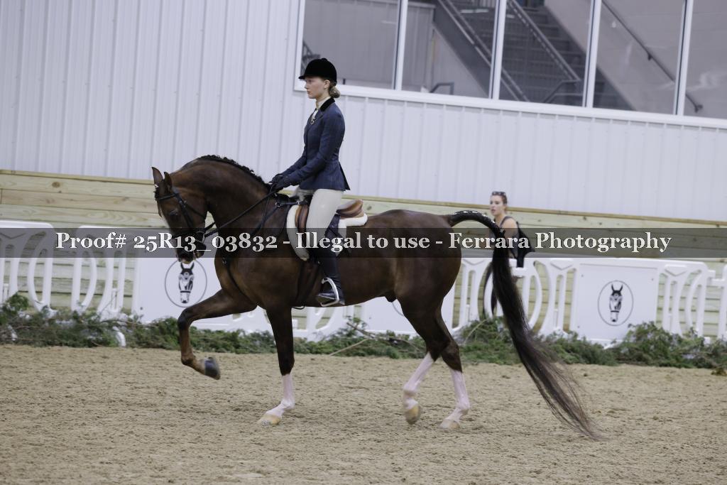 Proof 25R13_03832