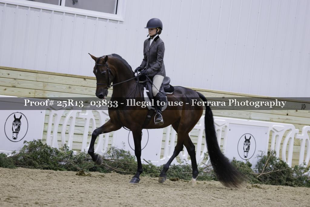 Proof 25R13_03833