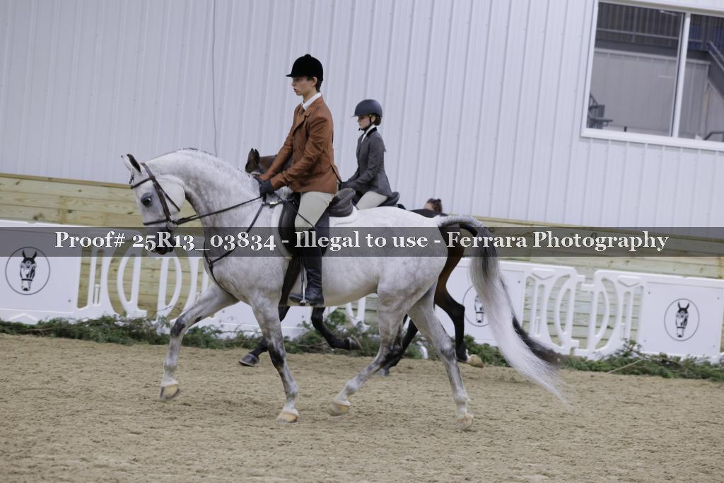 Proof 25R13_03834