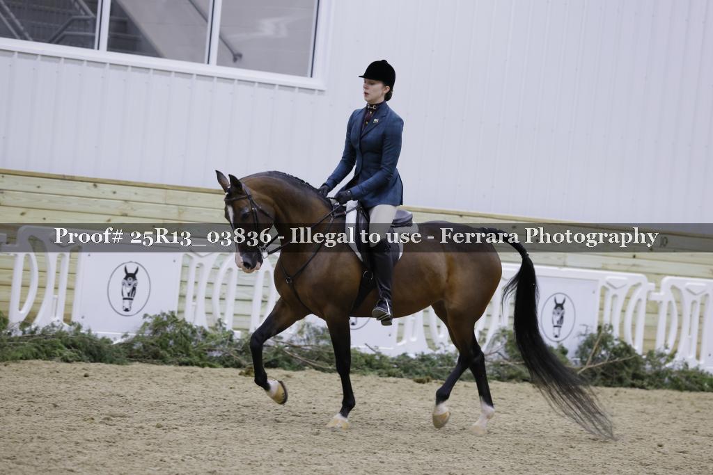 Proof 25R13_03836