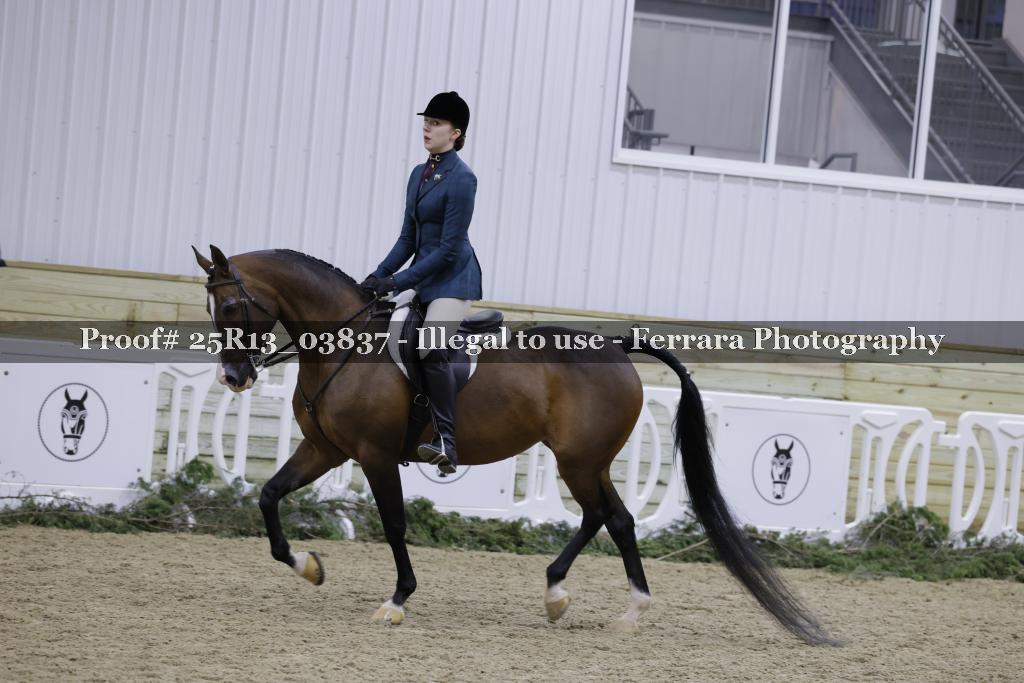 Proof 25R13_03837