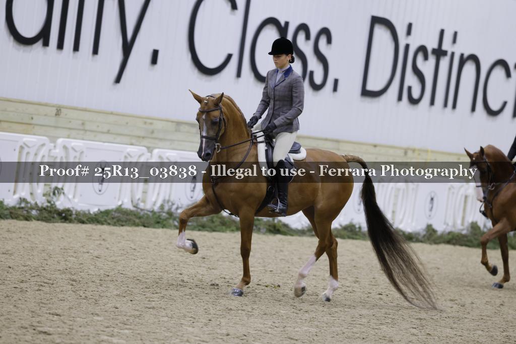 Proof 25R13_03838