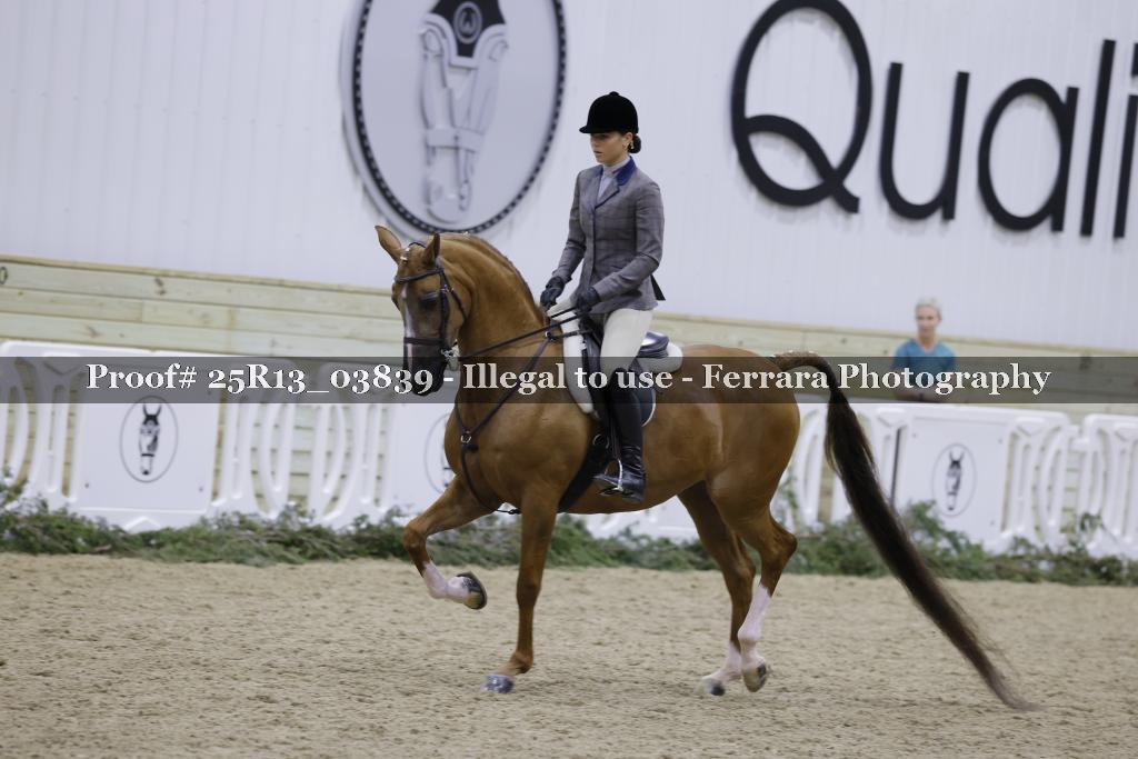 Proof 25R13_03839