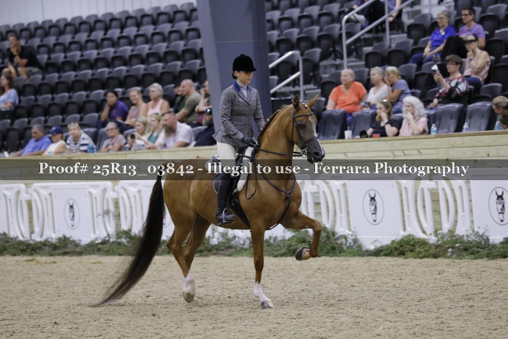 Proof 25R13_03842