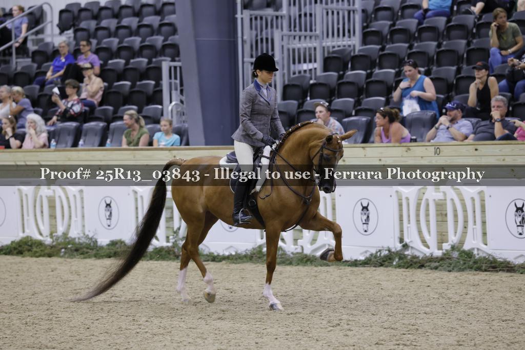 Proof 25R13_03843