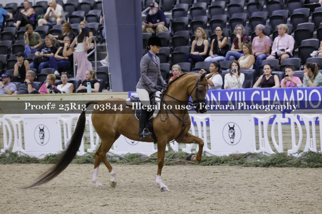 Proof 25R13_03844