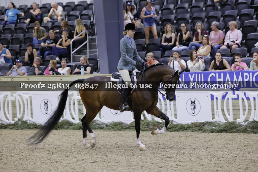 Proof 25R13_03847