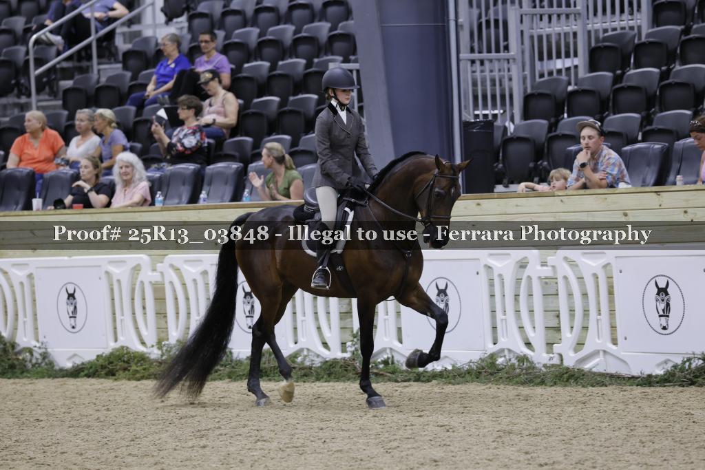 Proof 25R13_03848