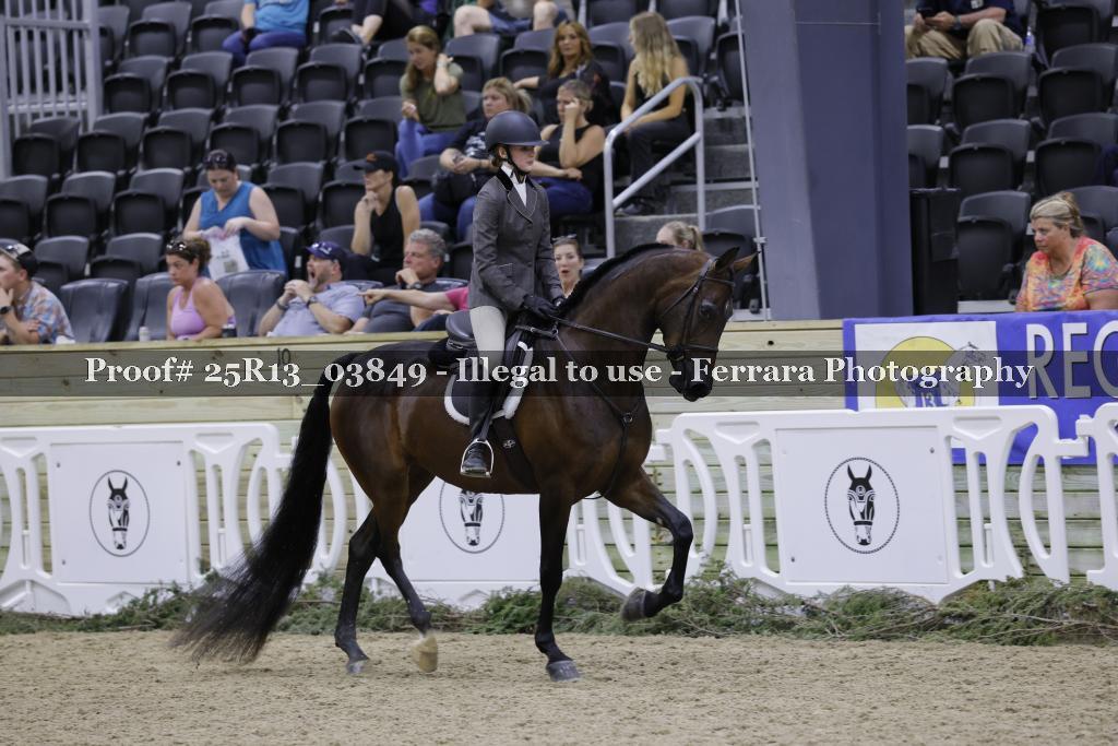 Proof 25R13_03849