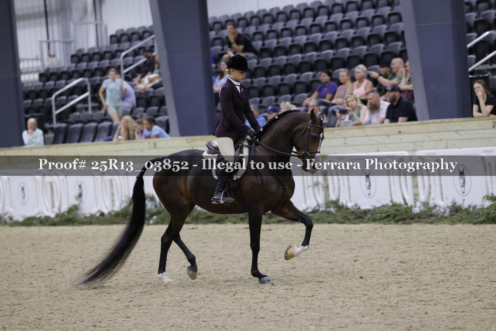 Proof 25R13_03852