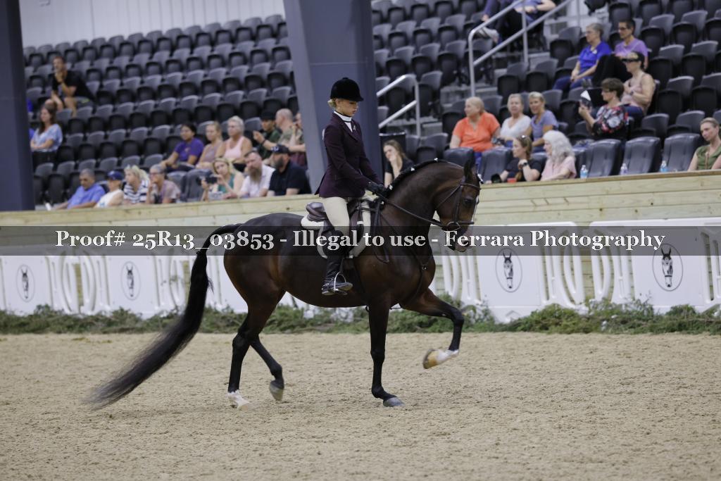 Proof 25R13_03853