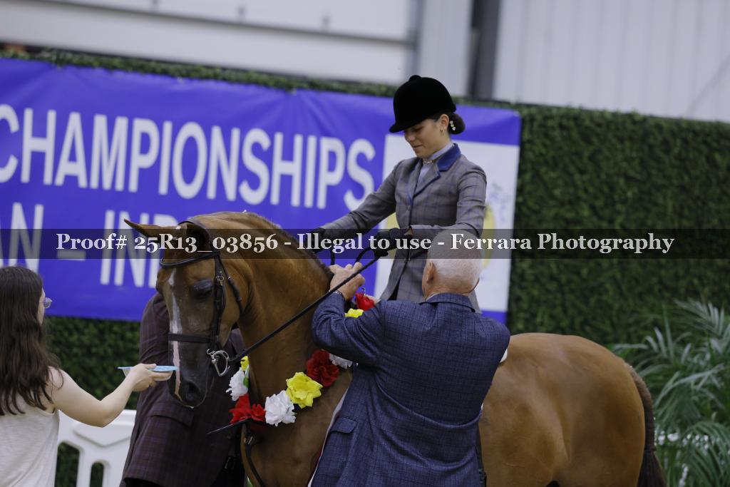Proof 25R13_03856