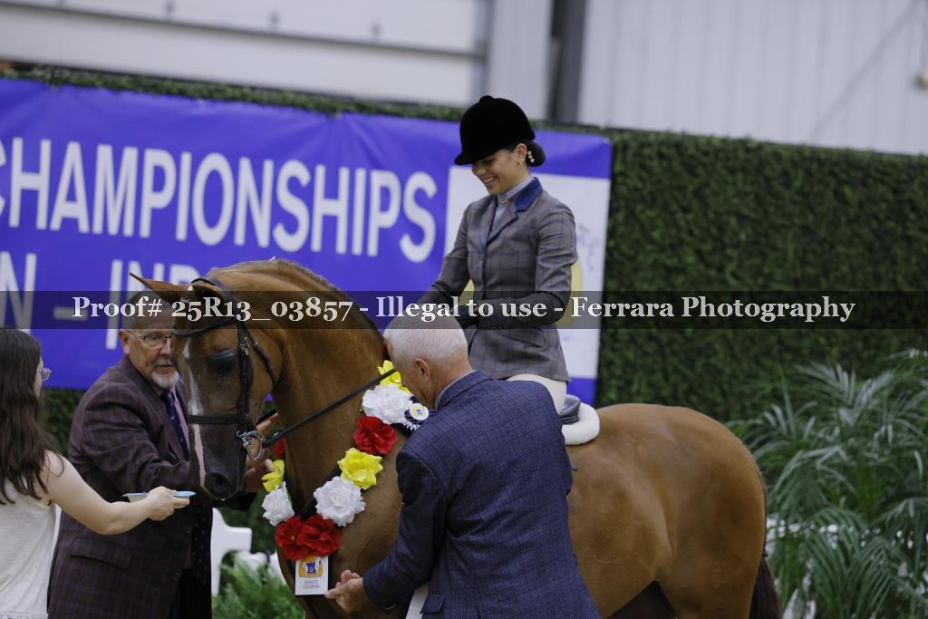 Proof 25R13_03857