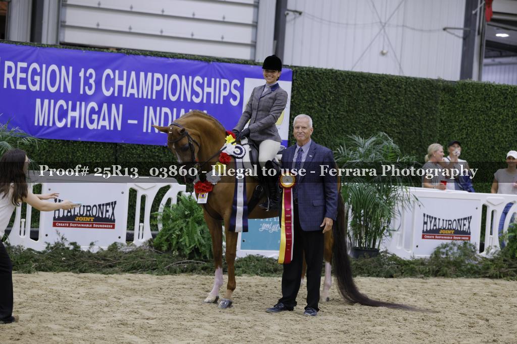 Proof 25R13_03860