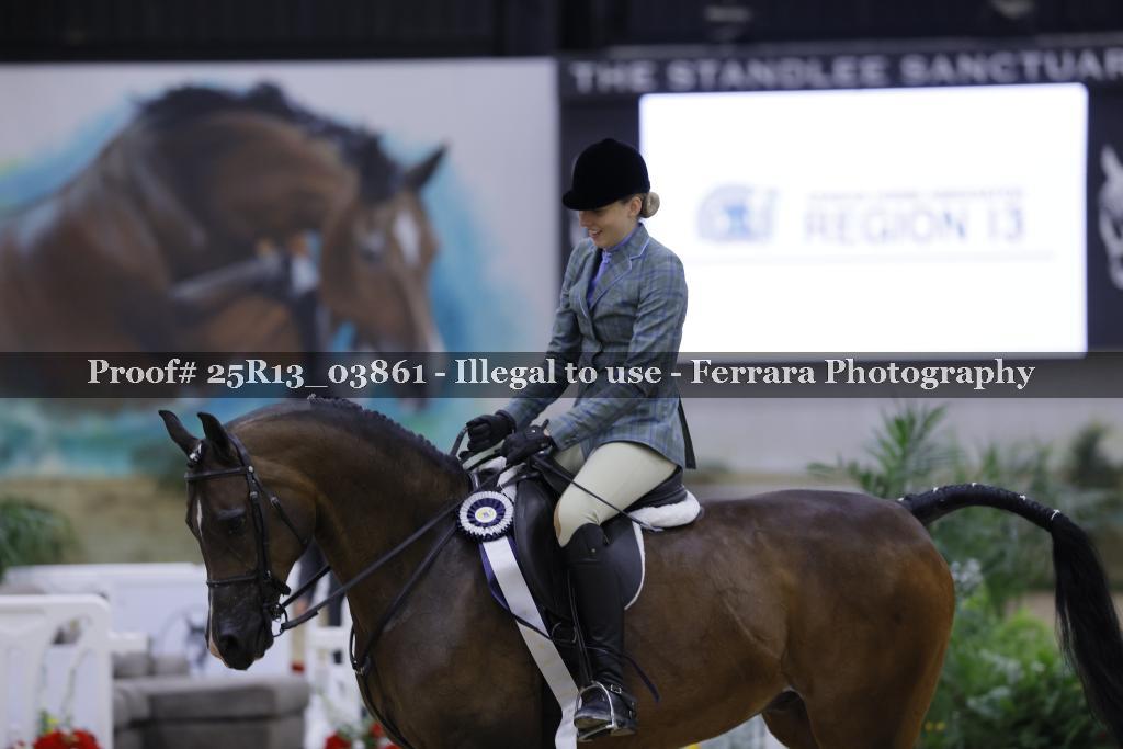Proof 25R13_03861