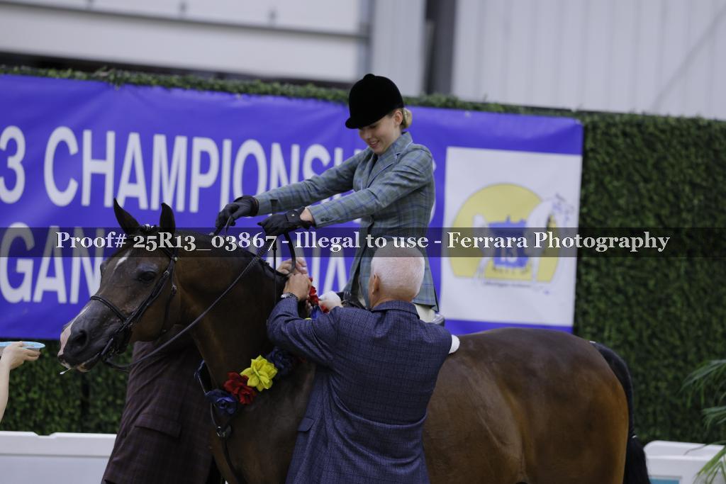 Proof 25R13_03867