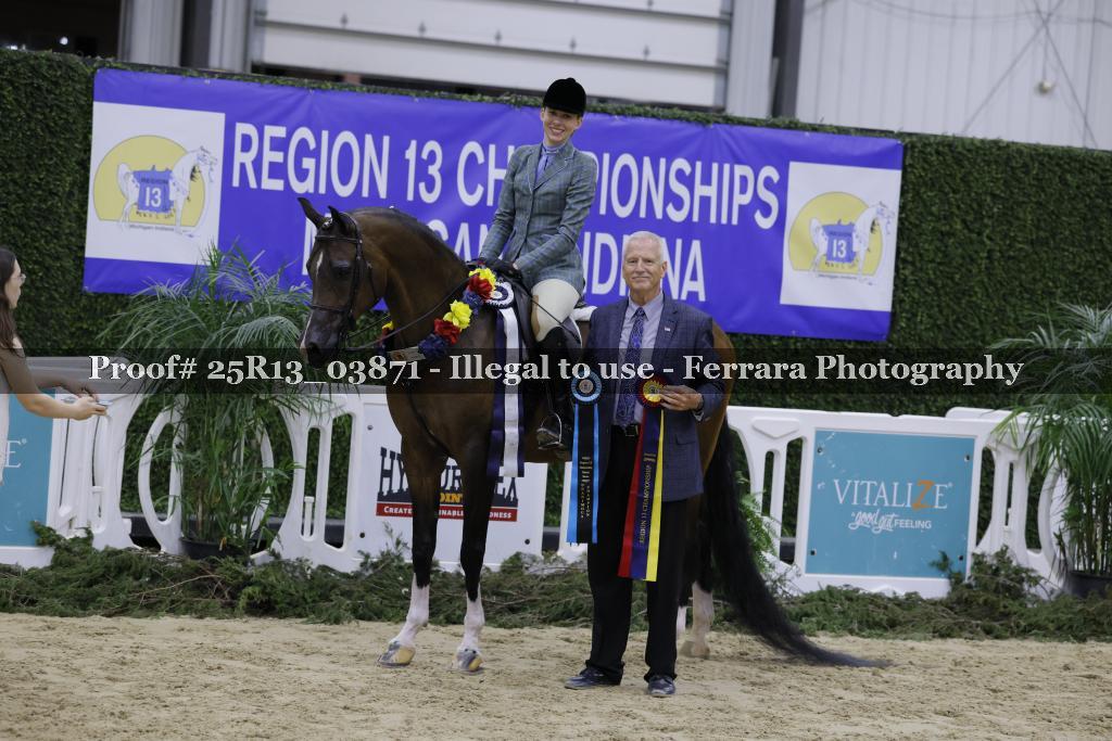 Proof 25R13_03871