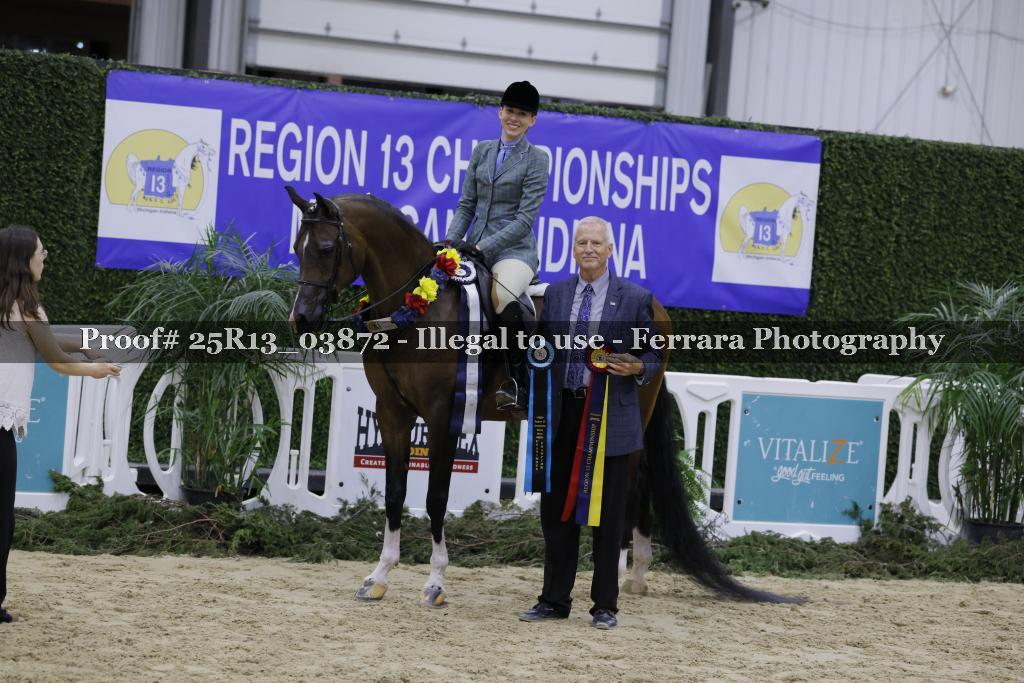 Proof 25R13_03872
