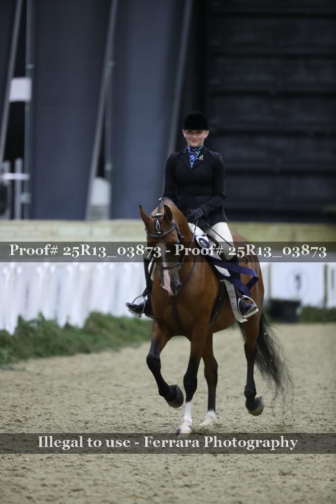 Proof 25R13_03873