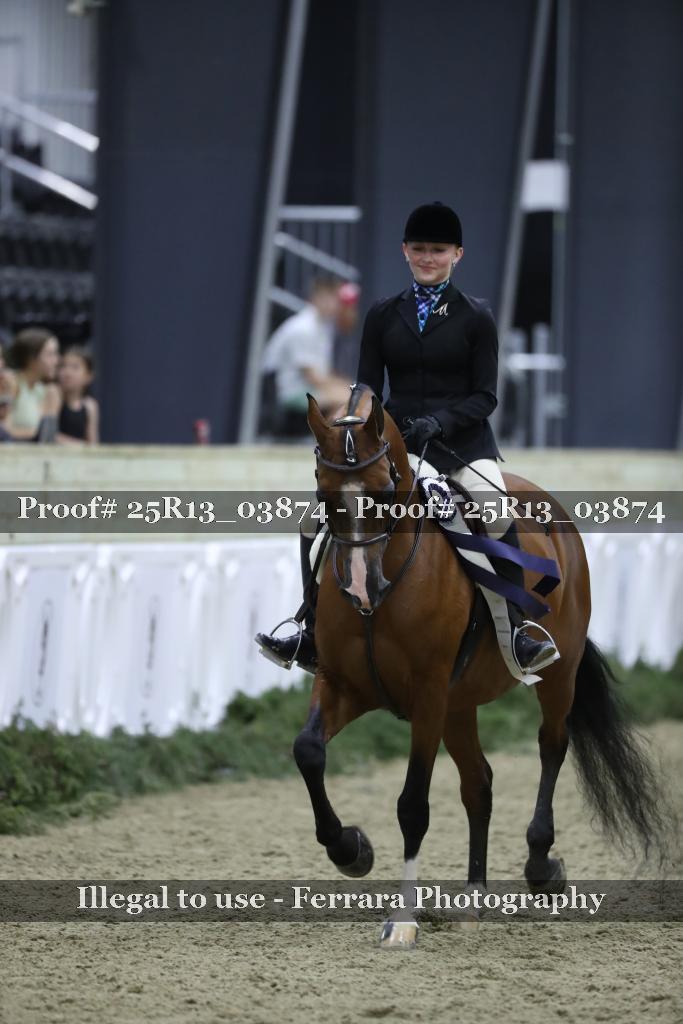Proof 25R13_03874