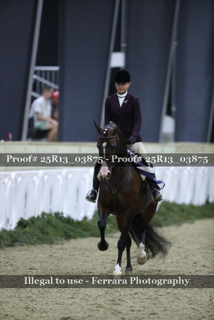 Proof 25R13_03875