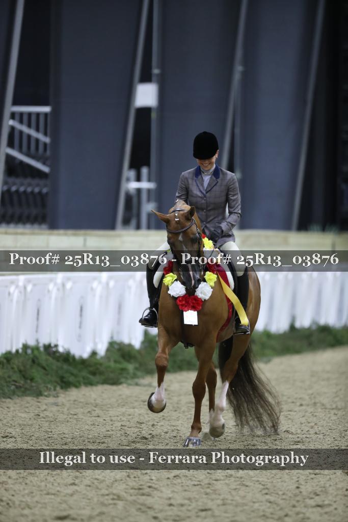Proof 25R13_03876