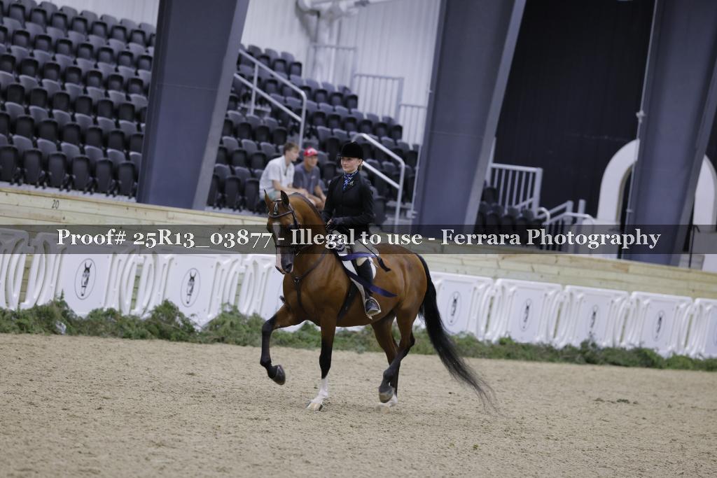 Proof 25R13_03877