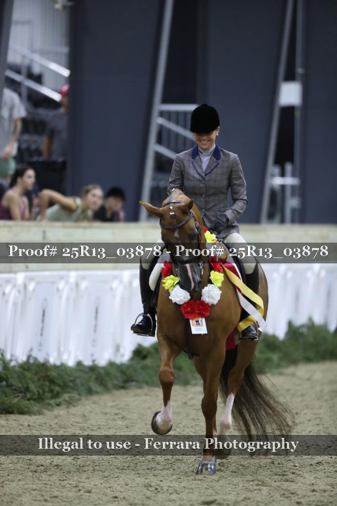 Proof 25R13_03878