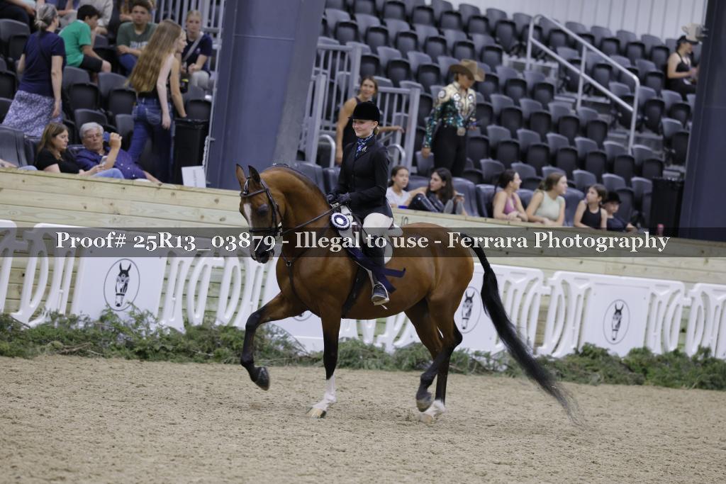 Proof 25R13_03879