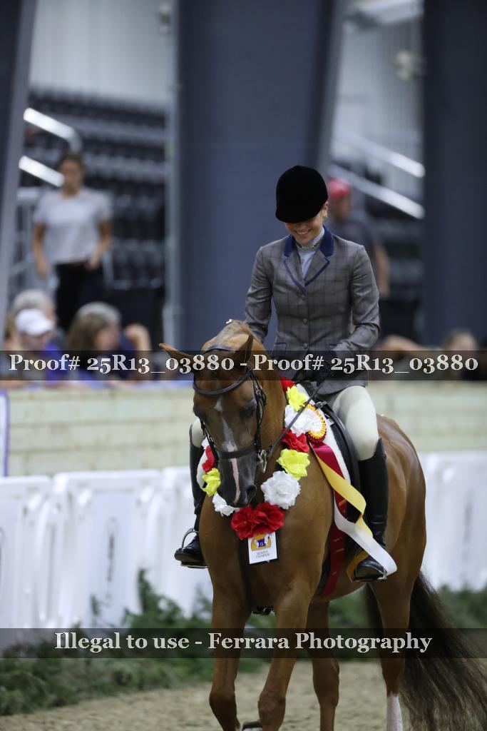 Proof 25R13_03880