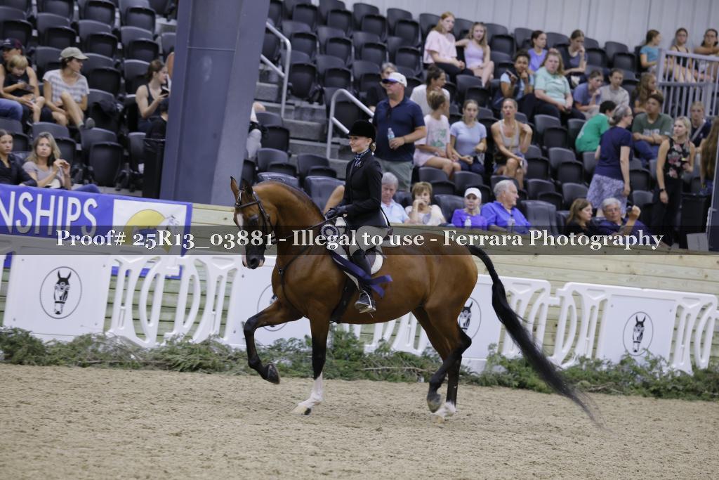 Proof 25R13_03881