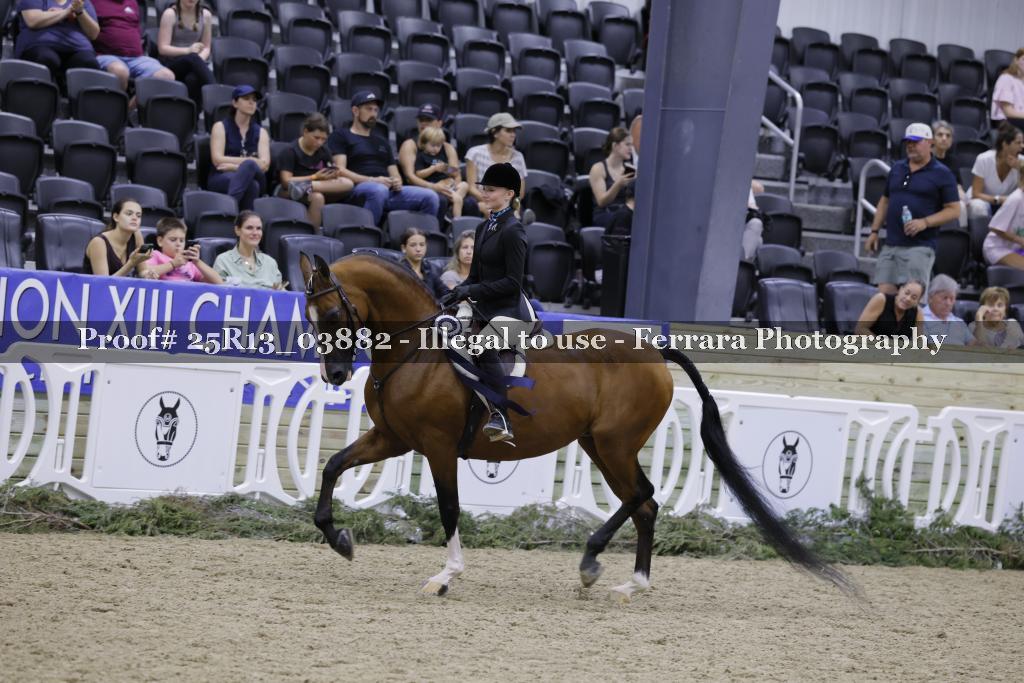 Proof 25R13_03882