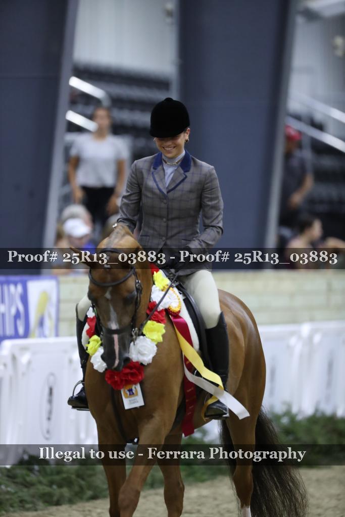 Proof 25R13_03883