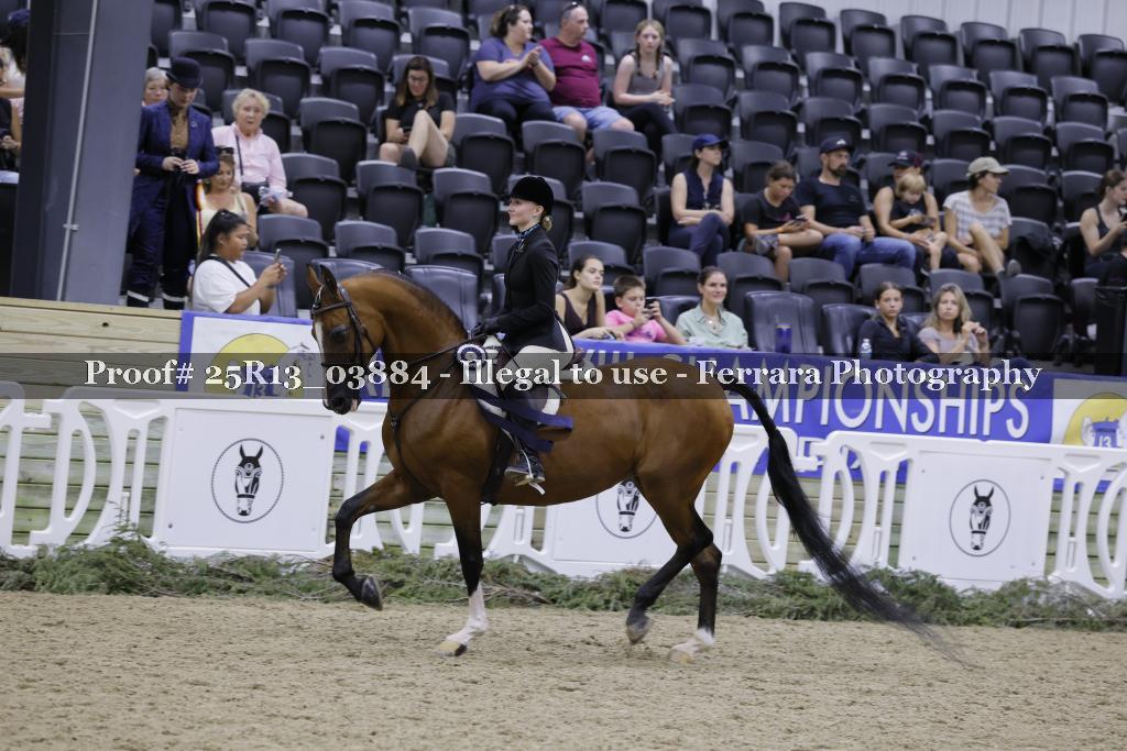 Proof 25R13_03884