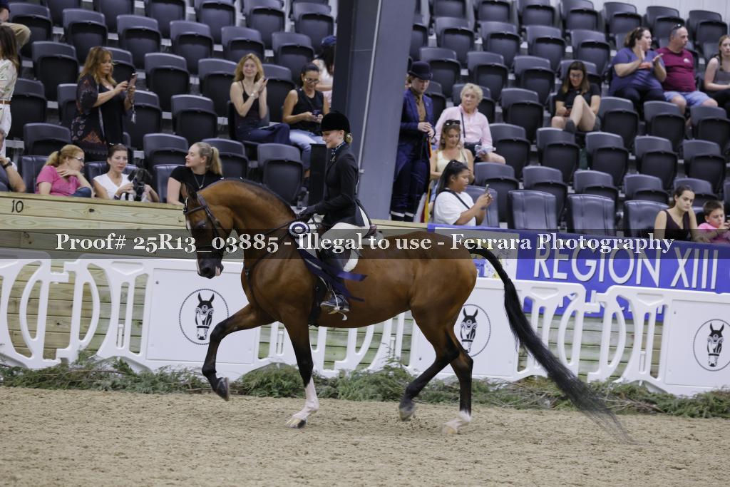 Proof 25R13_03885