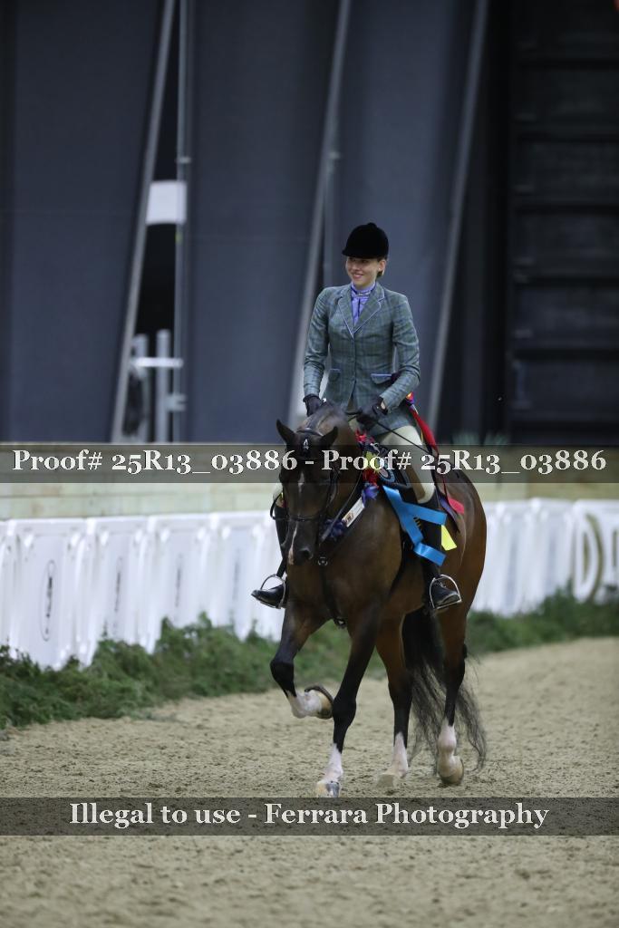 Proof 25R13_03886
