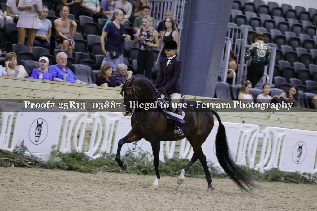 Proof 25R13_03887