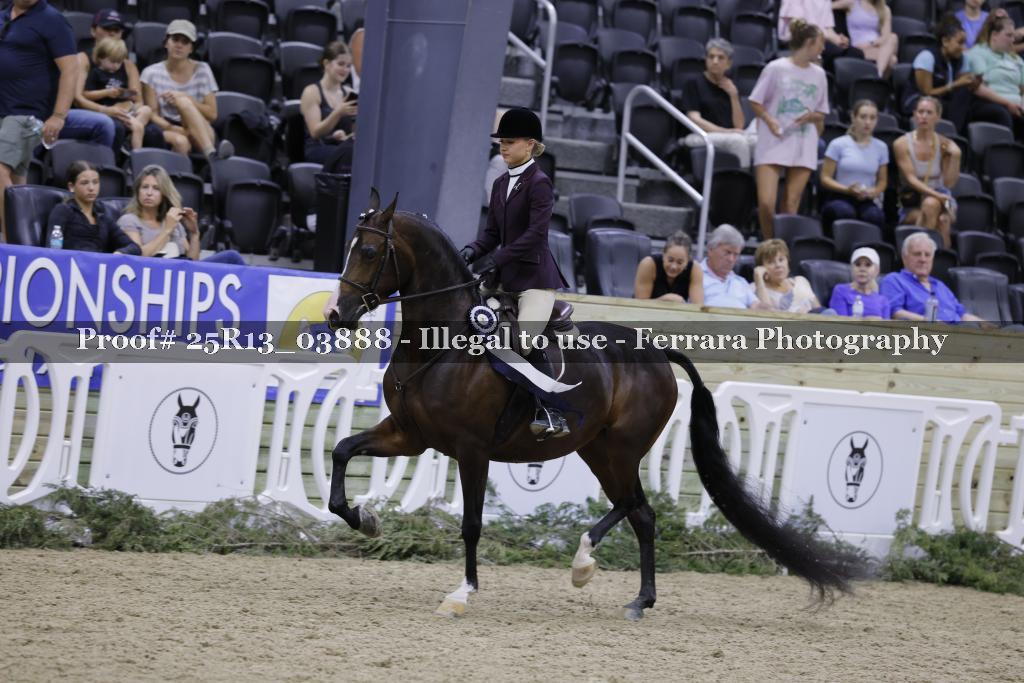 Proof 25R13_03888