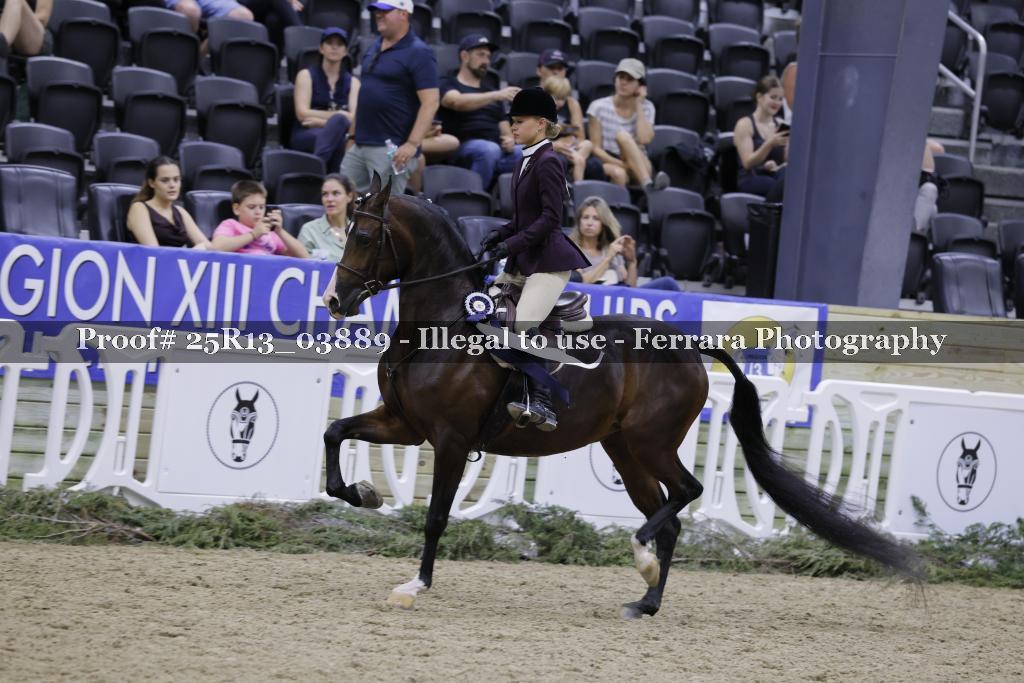 Proof 25R13_03889