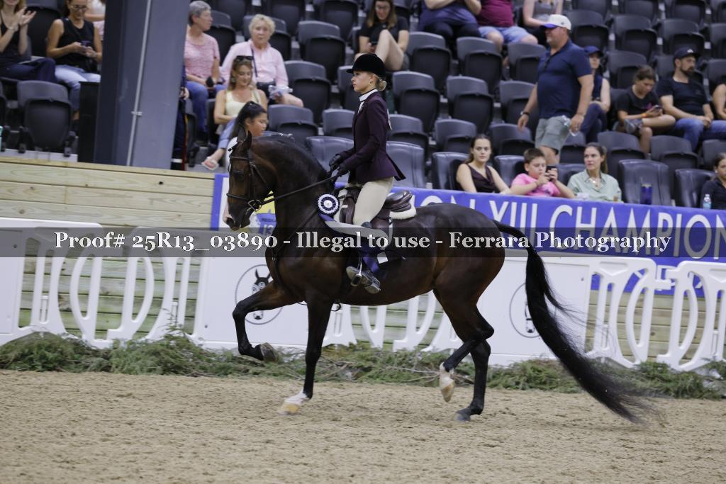 Proof 25R13_03890