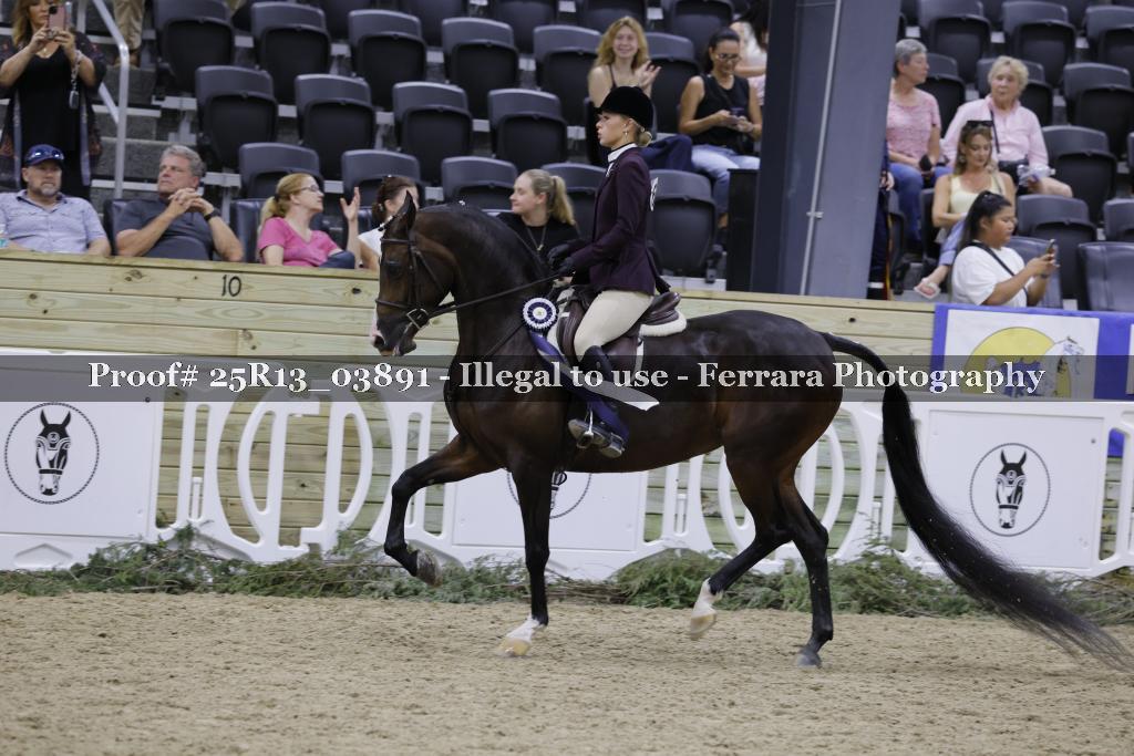 Proof 25R13_03891