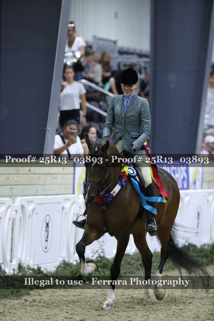 Proof 25R13_03893