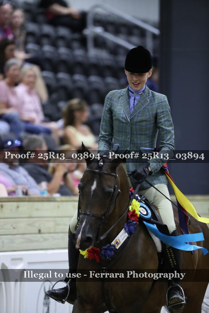 Proof 25R13_03894