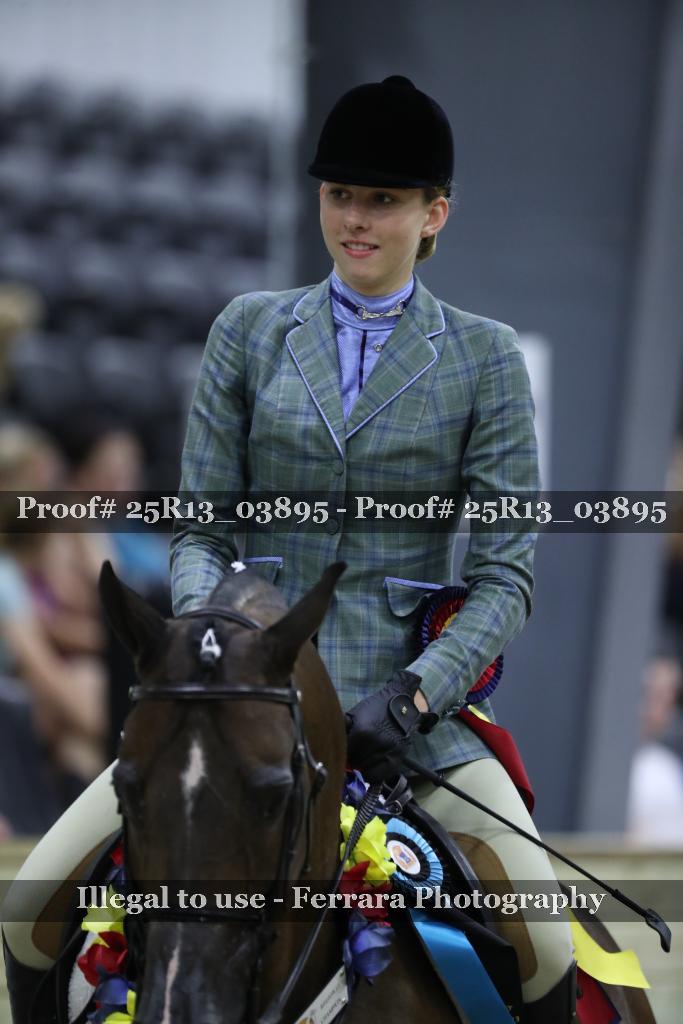 Proof 25R13_03895