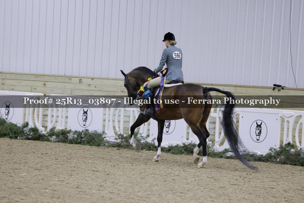 Proof 25R13_03897