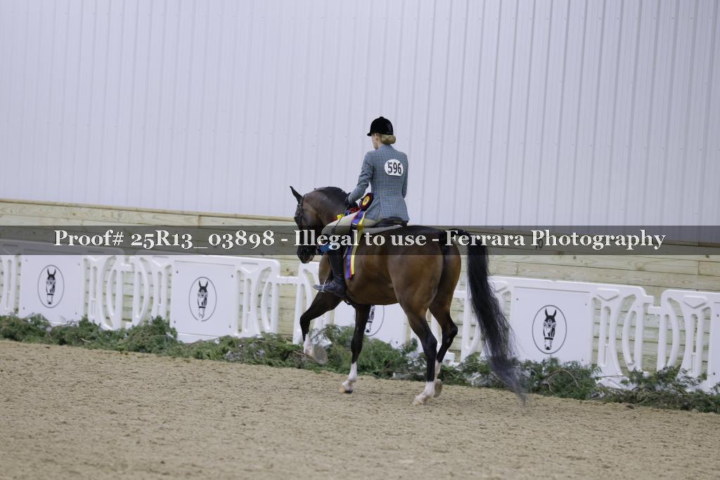 Proof 25R13_03898