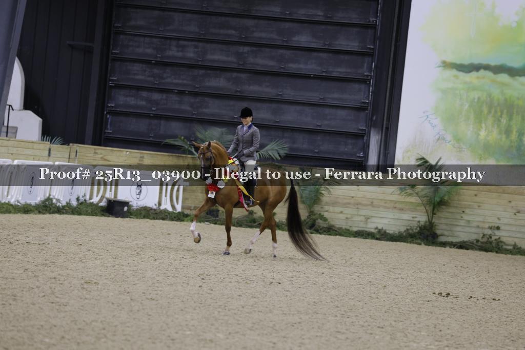 Proof 25R13_03900