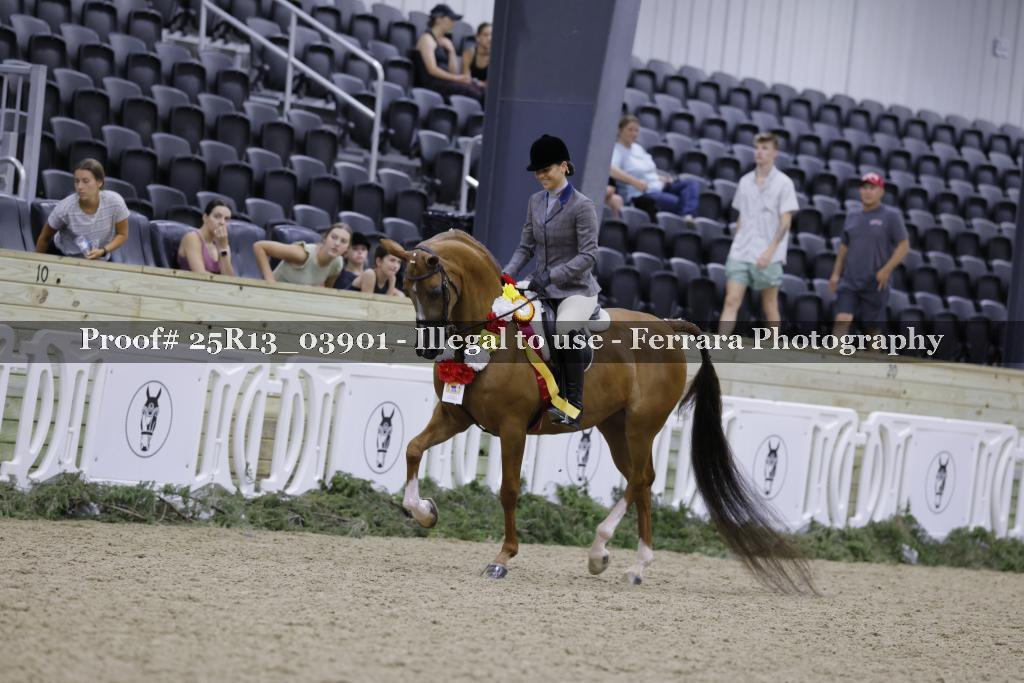 Proof 25R13_03901