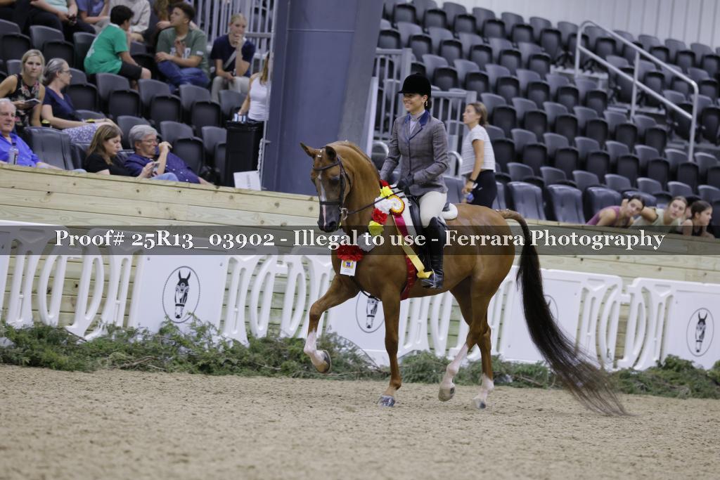 Proof 25R13_03902
